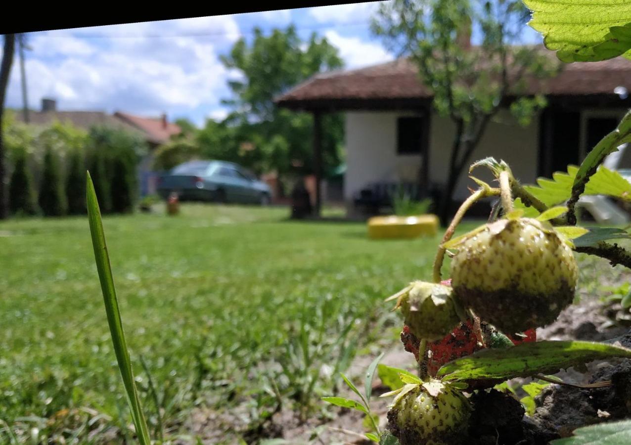 Stara Kovacnica Villa Golubac Exteriör bild