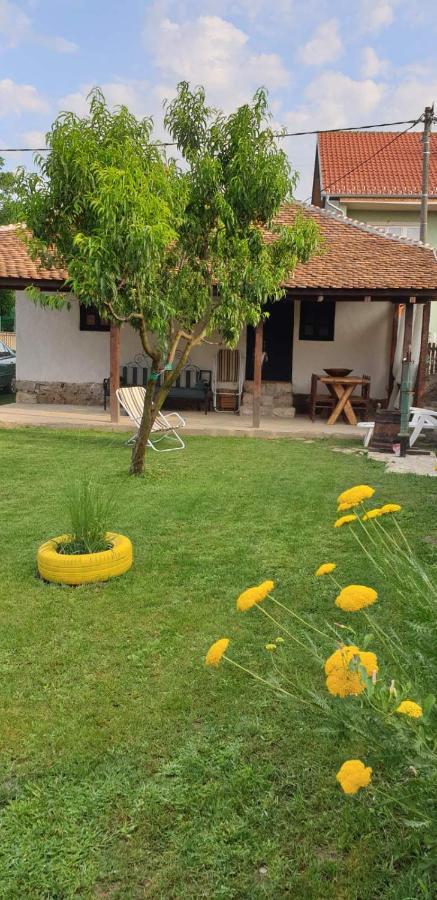 Stara Kovacnica Villa Golubac Exteriör bild