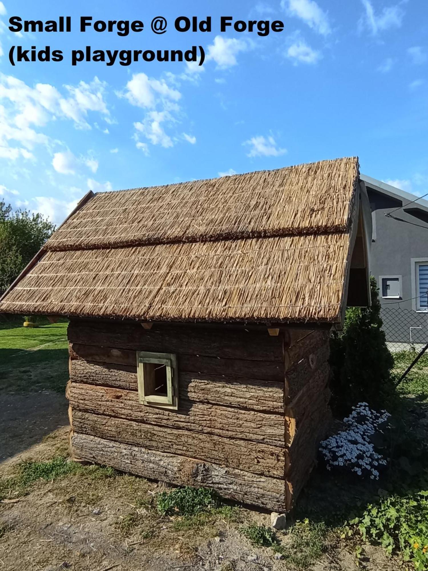 Stara Kovacnica Villa Golubac Exteriör bild